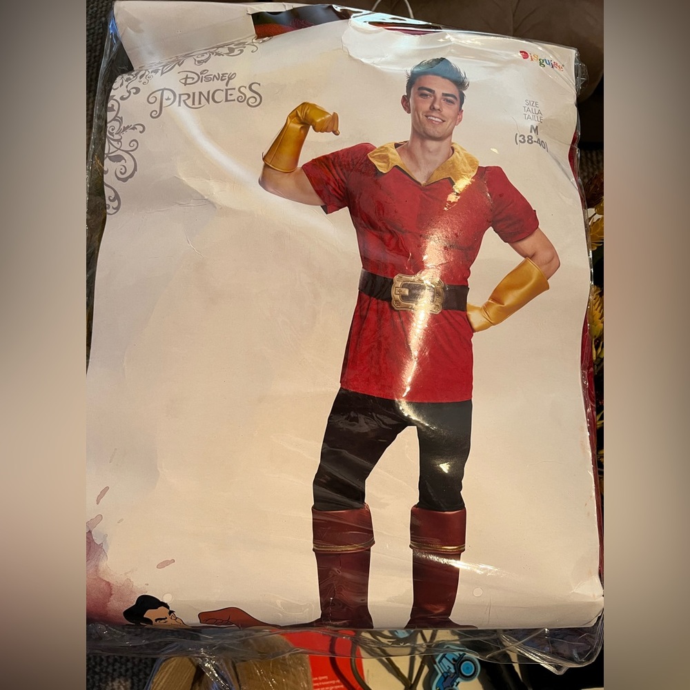 Gaston costume with colonial wig